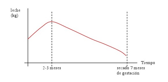 1_grafico