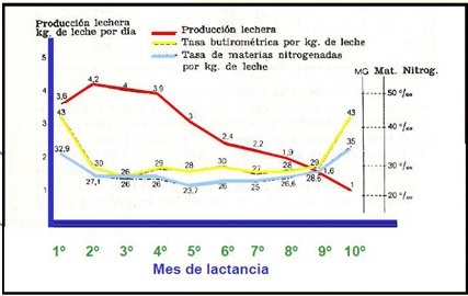 2_Grafico