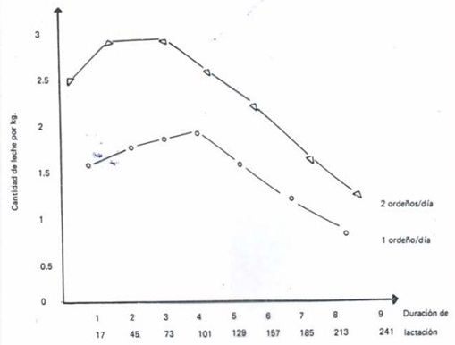 3_Grafico