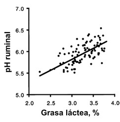 Grasa 1